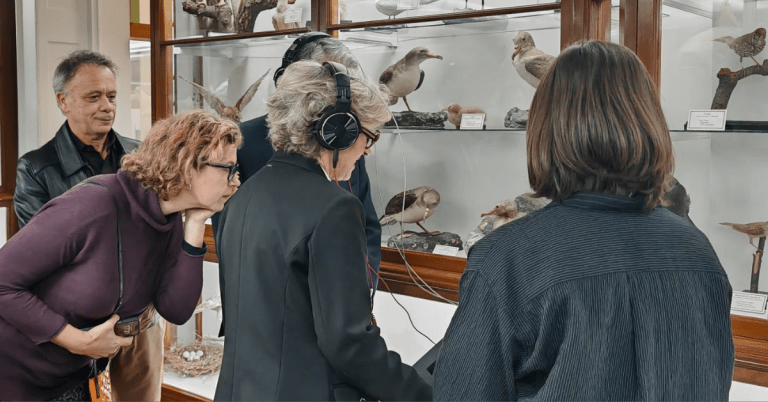 Biotopia Launches at the Natural History Museum of Funchal: A New Chapter for More-than-Human Museum Experiences